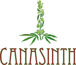 Canasinth