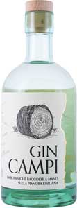 Gin-Terrae-Campi-Premium-London-Dry-70cl-bouteille